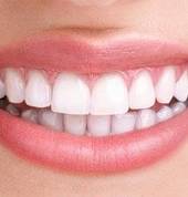 Bishop Dental East Tamaki (2013) Dental 4_small