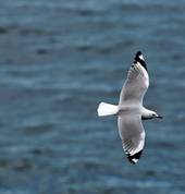 Soar to new heights in your life