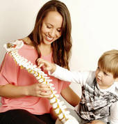 NSA Network Spinal with Spine Evolution