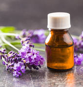 Radiate Mind & Body Glen Innes (1072) Kinesiology 3_small