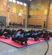 Shizoku Martial Arts Parklands (8083) Group Fitness Personal Trainers 1_small