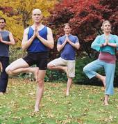 The Dunedin Yoga Studio Dunedin Central (9016) Vinyasa Yoga 4_small