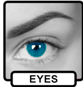 Brazilian Secrets Beauty Wellington Central (6011) Day Spas 1_small