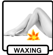 Brazilian Secrets Beauty Wellington Central (6011) Day Spas 3_small