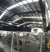 The Gym
