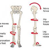 The effects of pronation