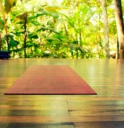 Yoga/Pilates/Relaxation/Meditation in Waterview Waterview (1026) Bootcamp Sessions