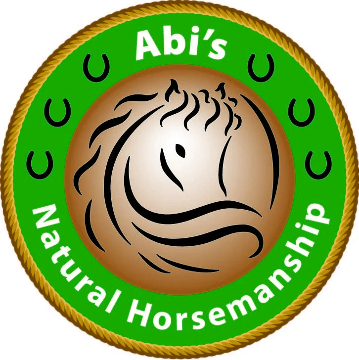 Abi's Natural Horsemanship and Riding School